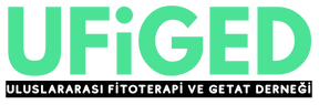 Kongre Katılım Belgesi