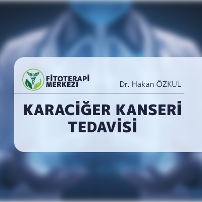 Akciğer Kanseri Tedavisinde Fitoterapinin Destekleyici Rolü
