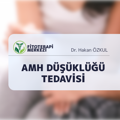 AMH Düşüklüğü Tedavisi
