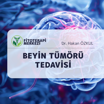 Beyin Tümörü Tedavisinde Fitoterapinin  Rolü