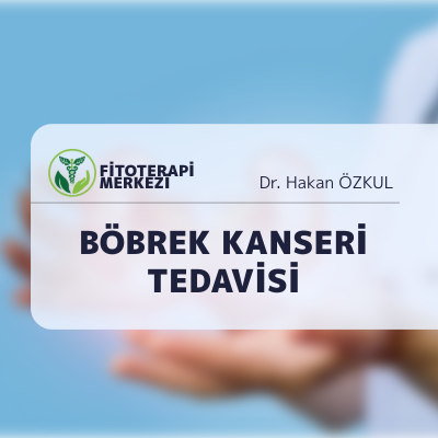 Böbrek Kanseri Nedir? Belirtileri, Evreleri, Tedavisi
