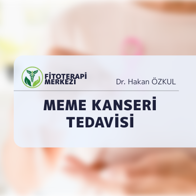 Meme Kanseri Tedavisinde Fitoterapinin Rolü