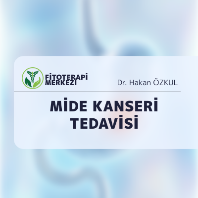 Mide Kanseri Belirtileri, Tedavisi ve Fitoterapi Yaklaşımı